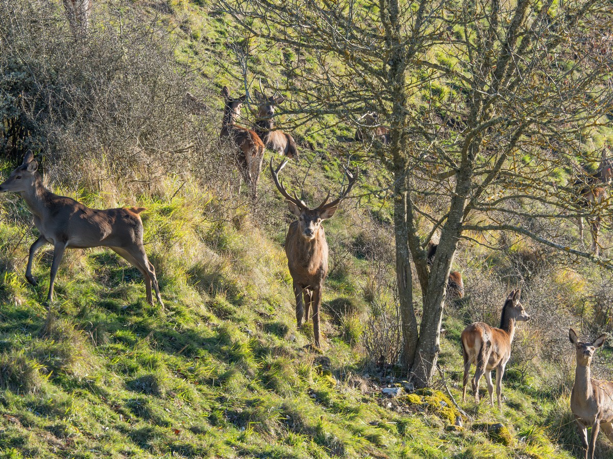 18112025-18 11 25 (20).jpg